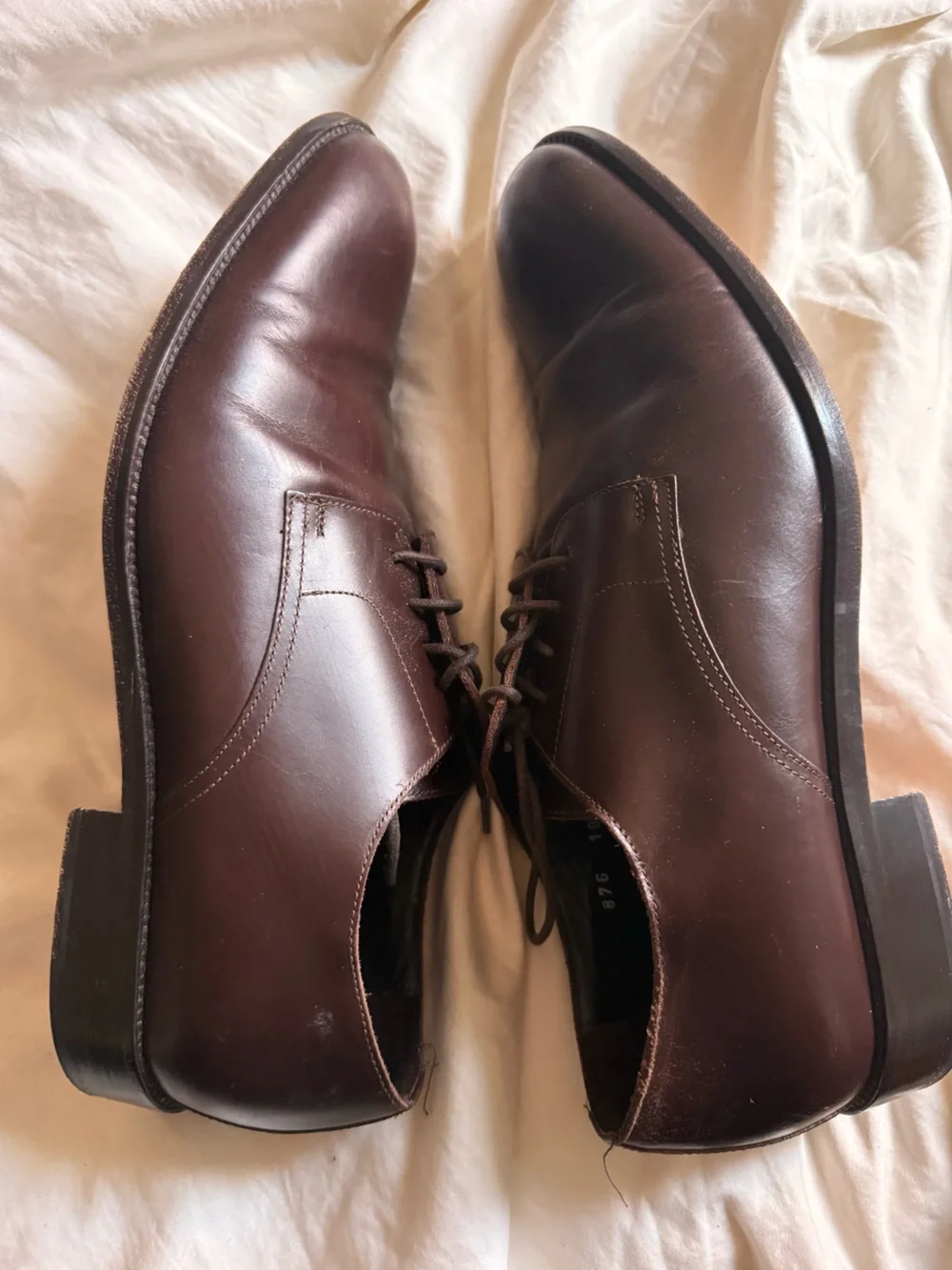 To Boot Dark Brown Leather Derby Shoes